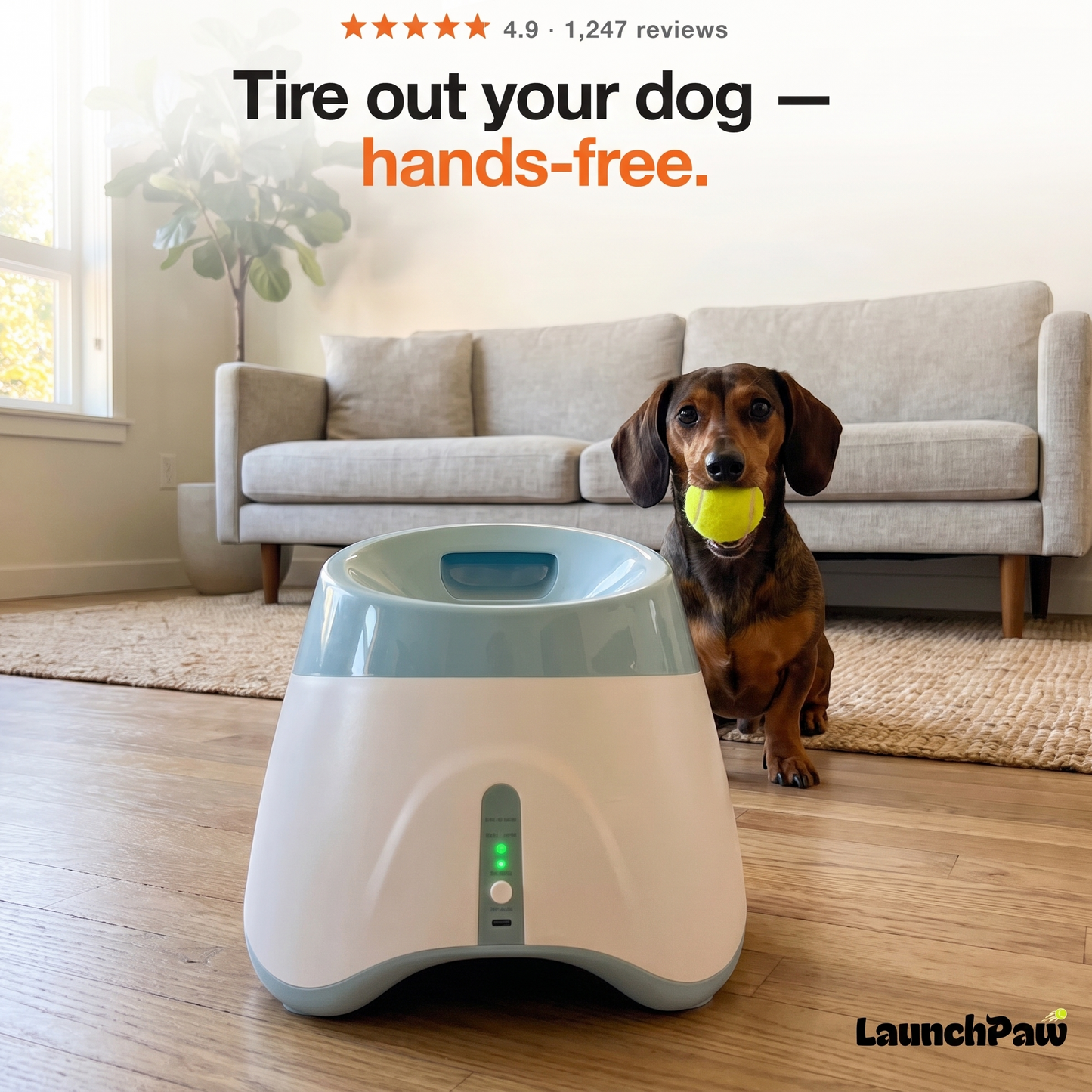 LaunchPaw™ Fetch Pro