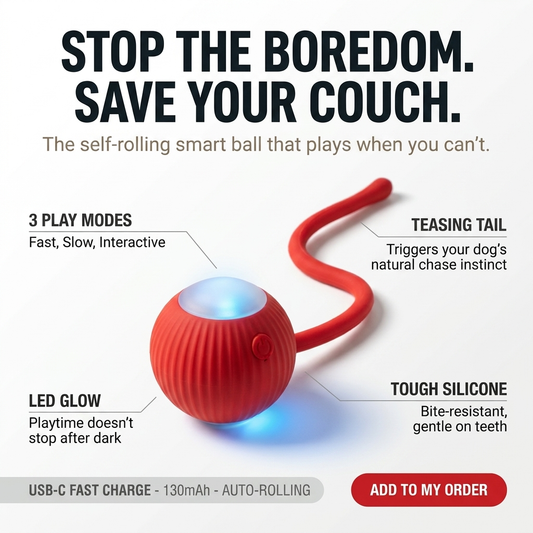 TailChase Smart Ball